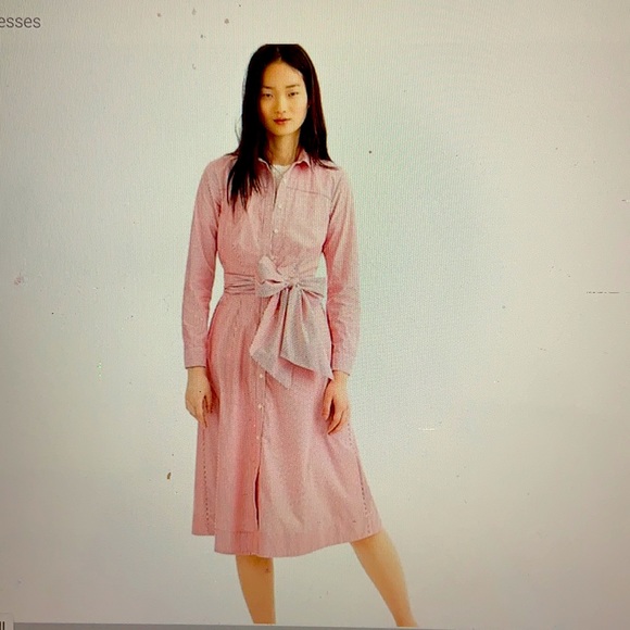 J Crew Dress - Picture 6 of 6